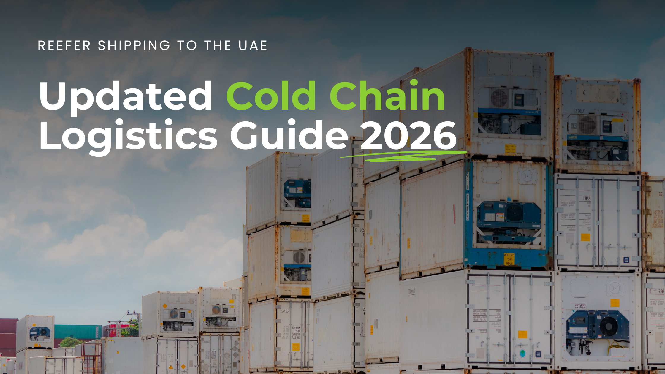 Temperature-controlled reefer shipping for food and pharmaceutical cargo moving to the UAE Refrigerated containers at a UAE port for cold chain logistics and reefer cargo shipping